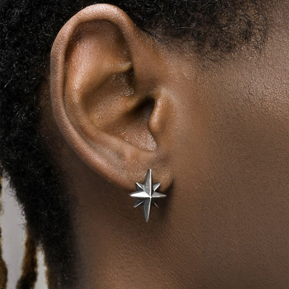 S925 Sterling Silver Earrings with Cubic Zirconia Inlay(EA-GR-011)